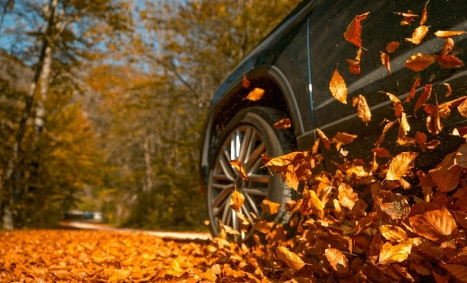 The “Slick Leaf” Danger: Why Wet Leaves Are Louisville’s Black Ice